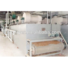 Cassava chips mesh belt dryer